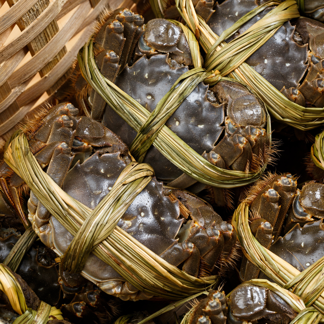 Ayollar hojatxonasida yashirin kamera onlayn Semiz porno jinsiy aloqa