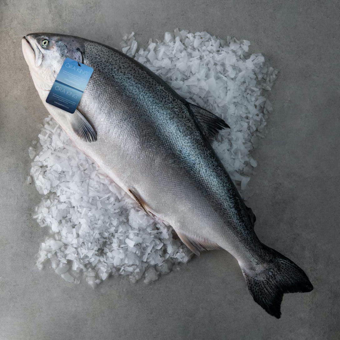 New Zealand Ora King Salmon
