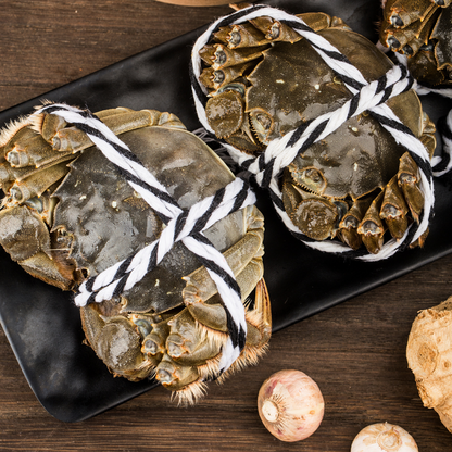 Qizlarning taqib qilinayotgan videosi Ular bitta yapon ayolining ichiga kiradilar