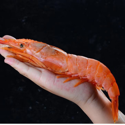 Wild Caught Argentina Red Shrimp (Size : L1)21cm-26cm