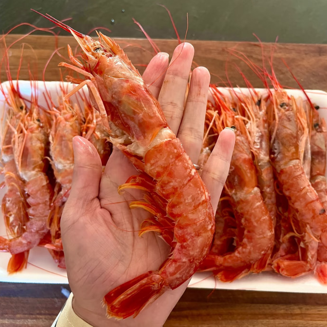 Wild Caught Argentina Red Shrimp (Size : L1)21cm-26cm