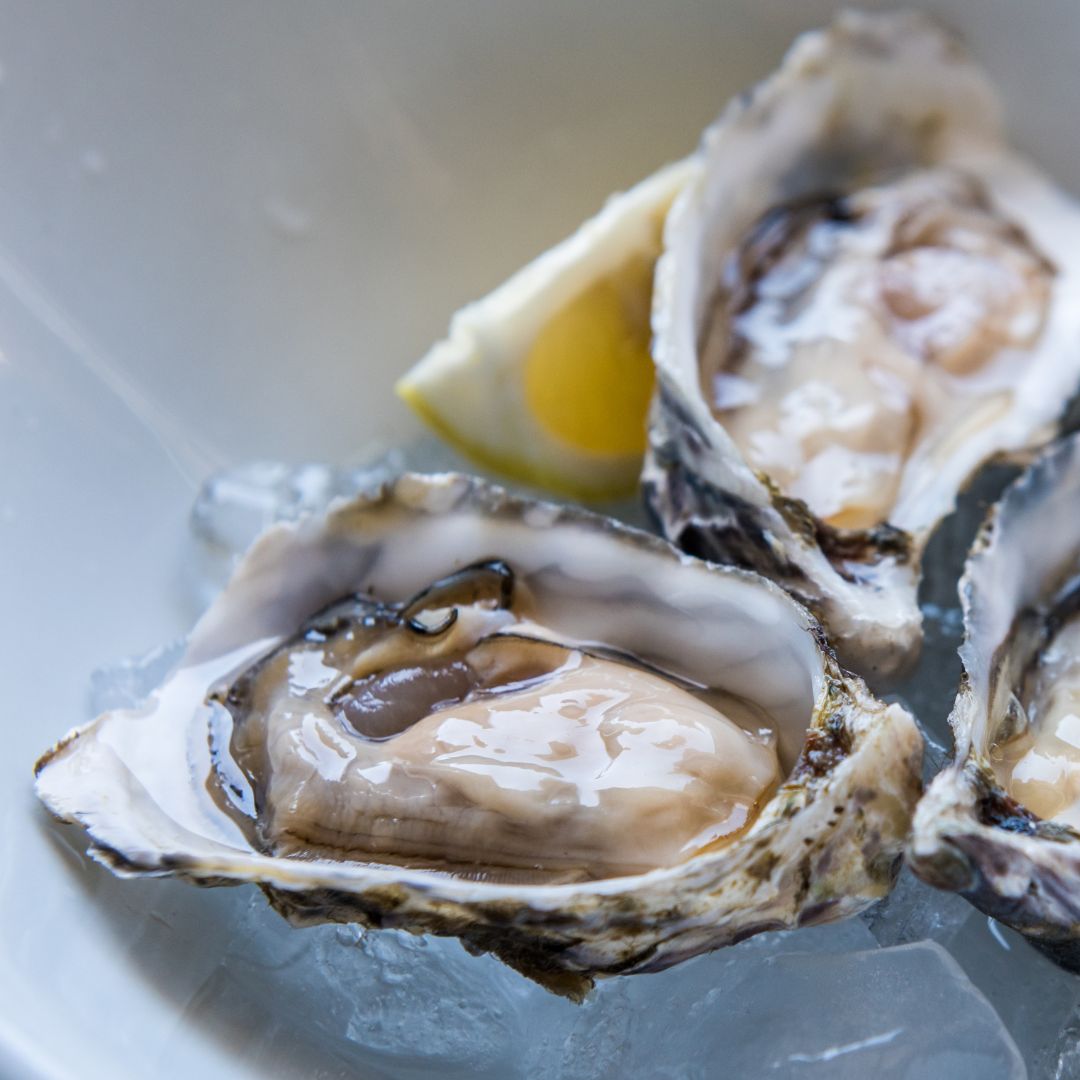 Fresh Air-Flown Gillardeau Oysters from Marenne, France, displayed on ice with a hint of lemon