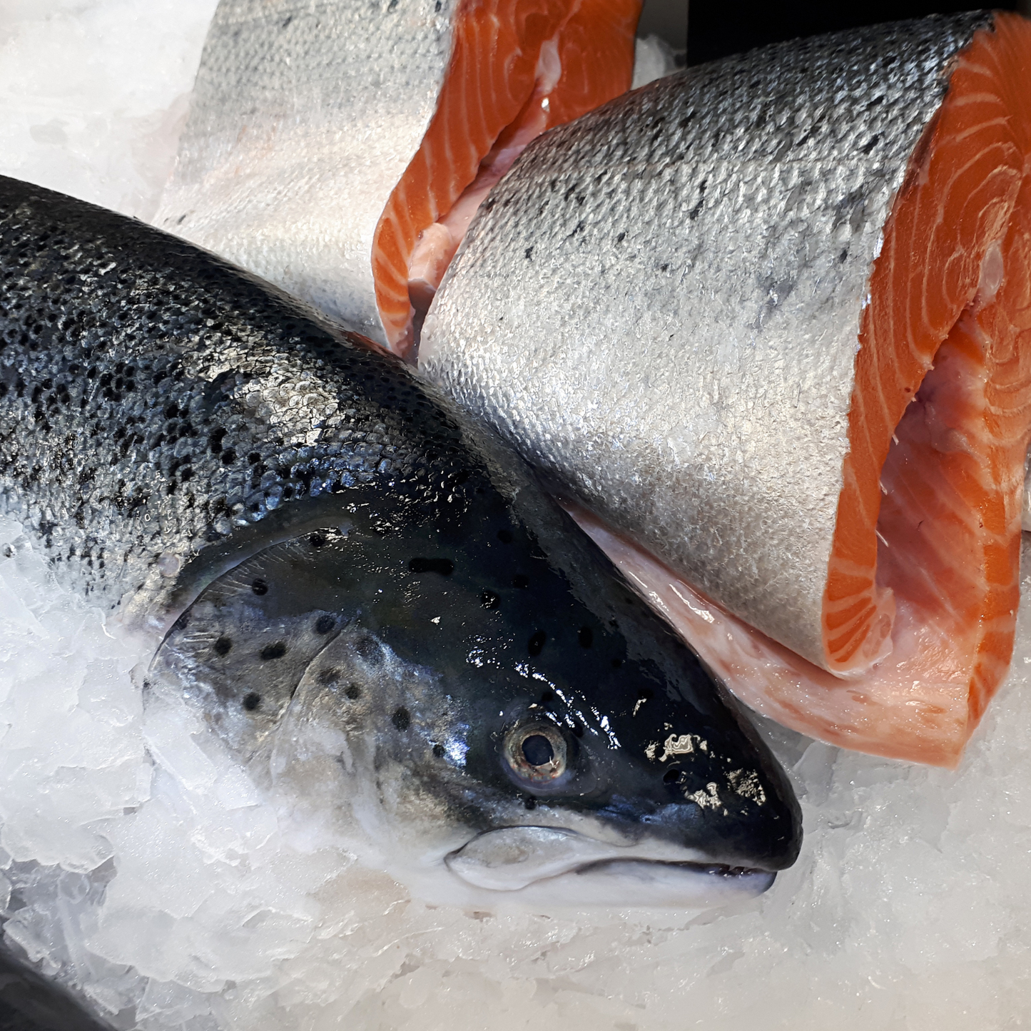 Fresh premium Atlantic salmon from Norway, sashimi-grade with rich marbling, perfect for grill, pan-sear, or sashimi 挪威进口优质生食级别三文鱼，适合煎烤或刺身生食
