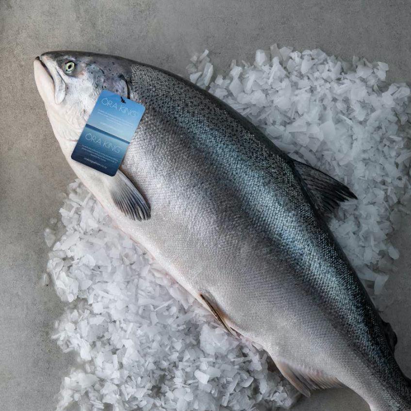 Fresh Ora King Salmon Fillet (200gram-250gram)