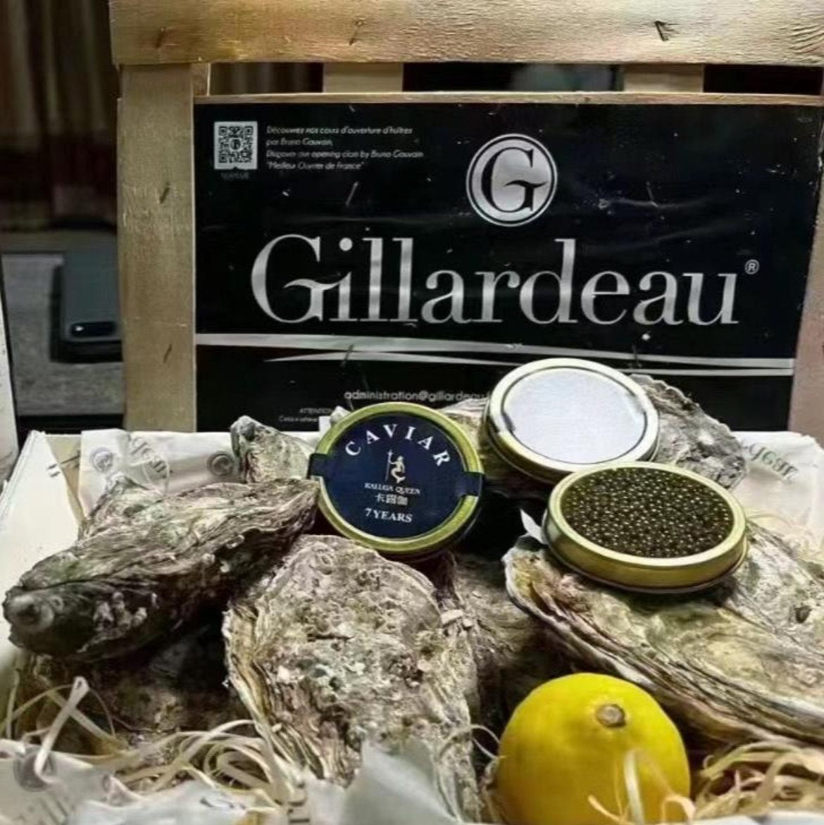 Premium French Gillardeau oysters, known for their sweet, juicy taste with a hint of dried fruit