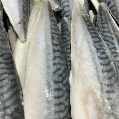 Close-up of raw norwegian saba fish  fillets with a patterned texture.